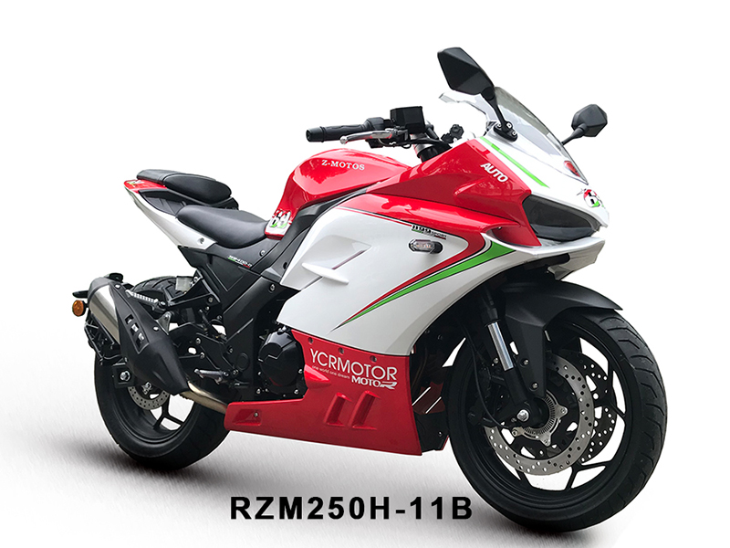 250cc Racing motorcycle RZM250H-11